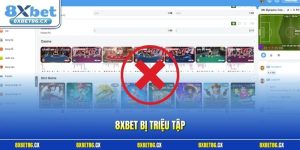 8xbet bị triệu tập