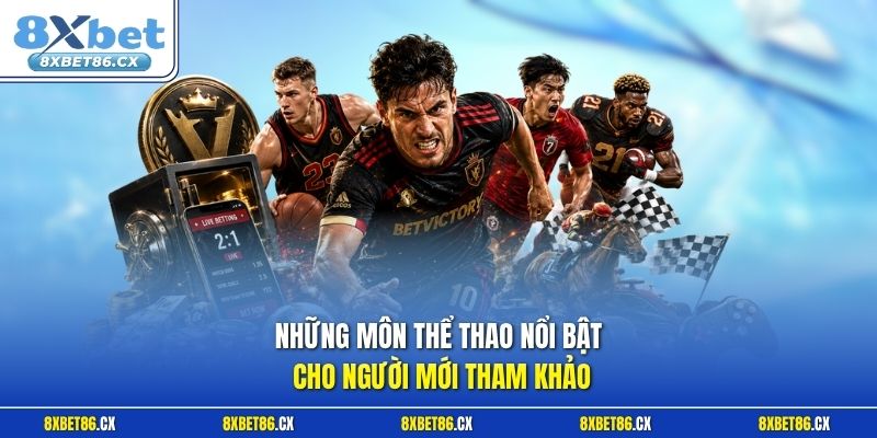 Những môn thể thao nổi bật cho người mới tham khảo